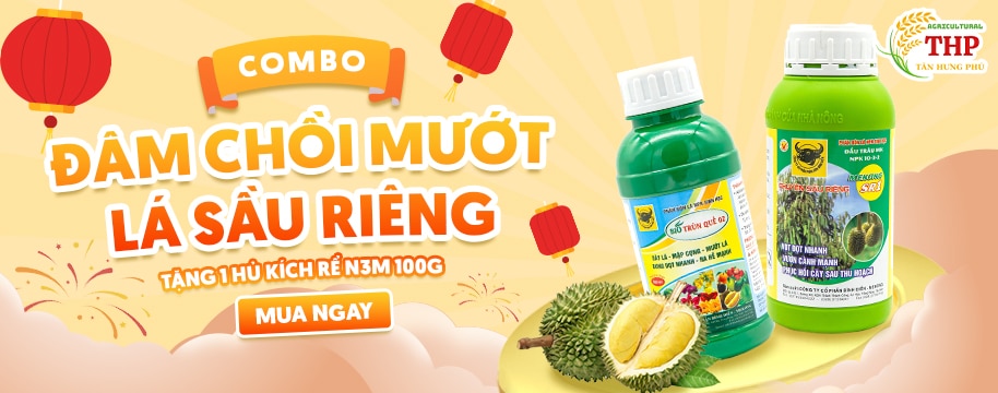 Combo dam choi muot la sau rieng vtnntanhungphu