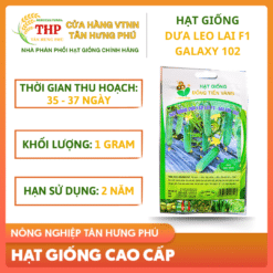Hạt giống Dưa Leo lai F1 Galaxy 102 gói 1gr
