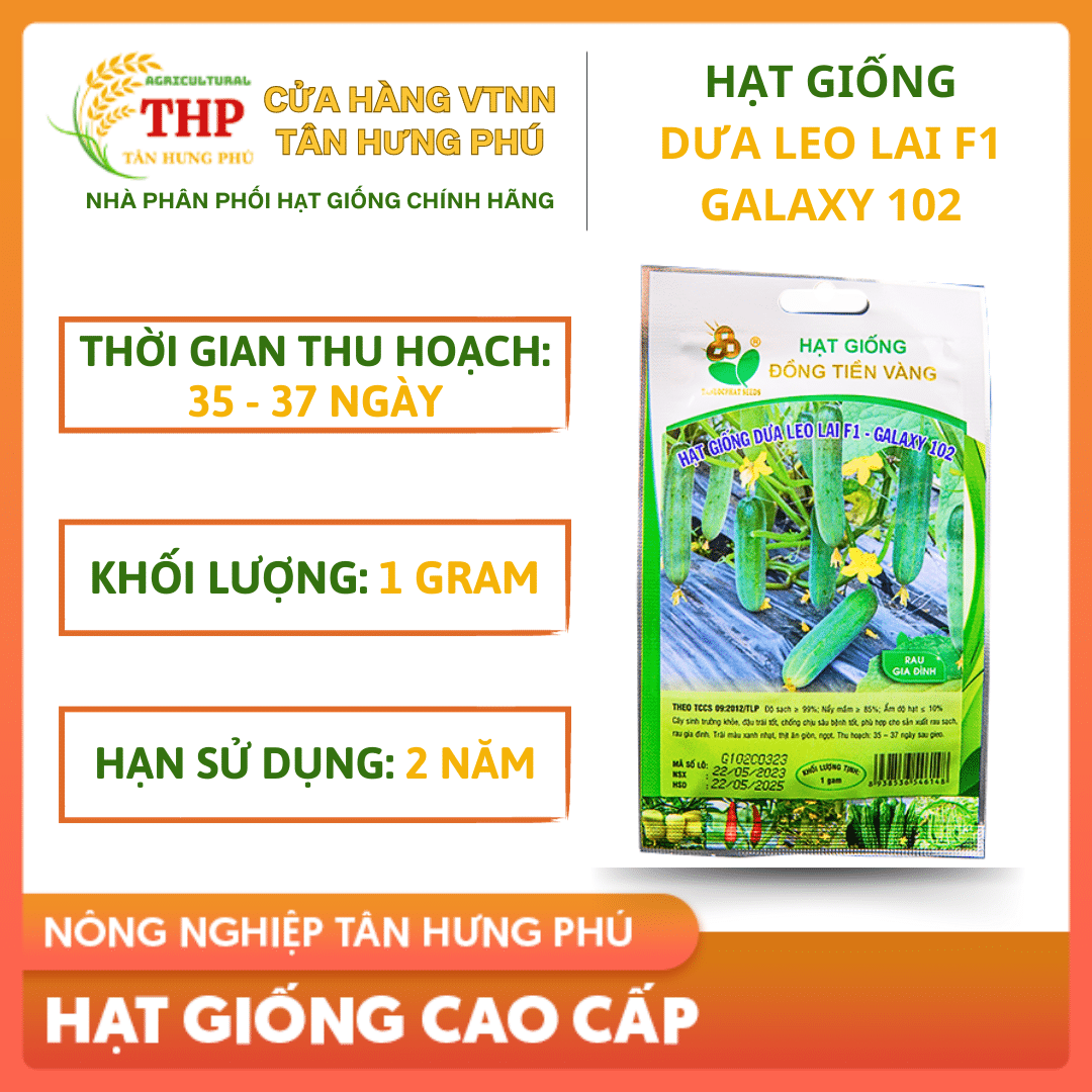 Hạt giống Dưa Leo lai F1 Galaxy 102 gói 1gr 1 DUA LEO GALAXY 102