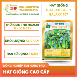 Hạt giống Dưa Leo Lai F1 Galaxy 107 gói 7.5gr