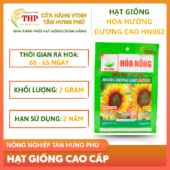 Hạt giống hoa Hướng Dương Cao HN002 gói 2 gr