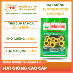 Hạt giống Hoa Hướng Dương Lùn HN001 gói 10 hạt