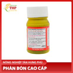 Hat vang 2 1