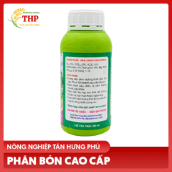 MK Phomic chuyen rau 2