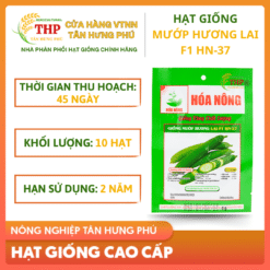 Hạt giống Mướp Hương Lai F1 HN-37 gói 10 hạt