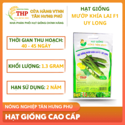 Hạt giống Mướp Khía Lai F1 Uy Long gói 1.3gr