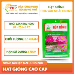 Hạt giống Hoa Sao Nhái Hồng HN-020 gói 0,5gr