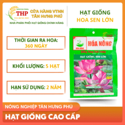 Hạt giống Sen Lớn gói 5 hạt