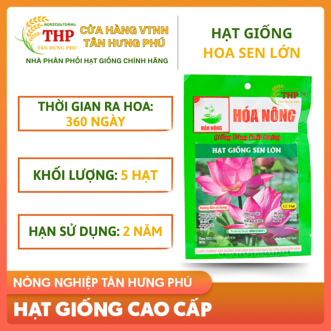 Hạt giống Sen Lớn gói 5 hạt 1 SEN LUON