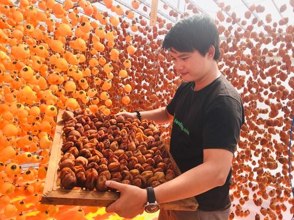 hồng treo gió cầu đất
